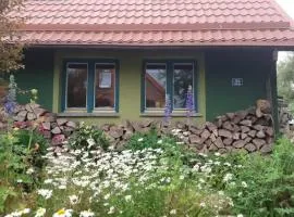 Zielony Domek w Sztynorcie