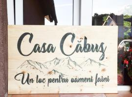 CASA CABUZ, pet-friendly hotel in Avrig