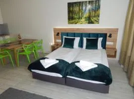 AGAT Apartament Czarna Góra