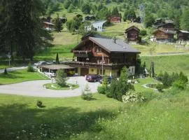 Valentin VL1