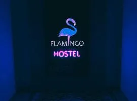 Flamingo