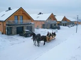 Czorsztyn Prestige Apartamenty