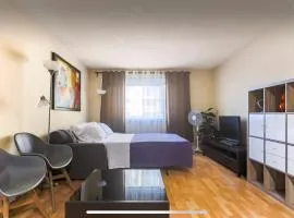 Downtown River Valley Bachelor Suite Condo, NON Smoking, 12 inches Queen Bed, Beautiful Minimalist, very convenient every where