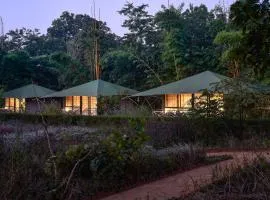 Bagh Tola, Bandhavgarh Tiger Reserve