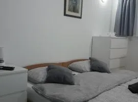 Studio Apartment Nani Centar