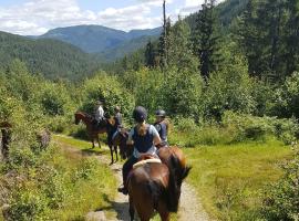 River Run Ranch - Telemark, holiday home sa Drangedal