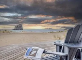 Pacific City Sand Dollar