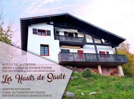 Le Haut de Sauté / Au pieds des pistes, Sauna et vue Imprenable sur les montagnes !, hotel in Bussang