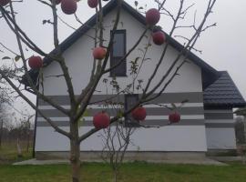 Срібний дощ, ξενοδοχείο σε Svityazʼ