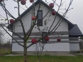 Срібний дощ