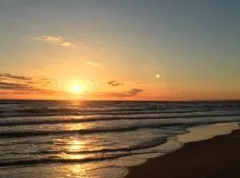 Spiaggia dei Delfini sul mare di Roma -free parking