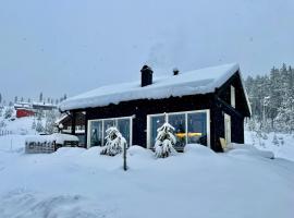 Great cabin in Hemsedal wifi golf ski eldorado, villa in Hemsedal