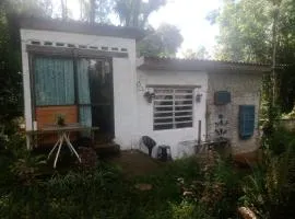 Recantinho da floresta