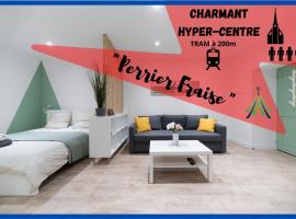 ※Perrier Fraise※ Coeur de ville ⁕ Appt d'exception