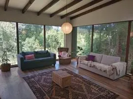 Casa del bosque en la ciudad