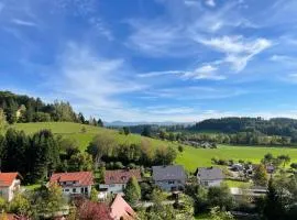 Ferienwohnung Bergblick Wangen im Allgäu mit Garten, 2022 komplett renoviert