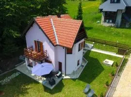 Planinska Kuca Tara / Mountain House Tara