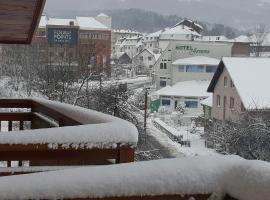 Apartmani Aleksandra, hotel in Kolašin