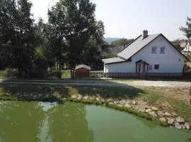 Chalupa ve Sněžném