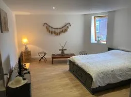 studio naturel