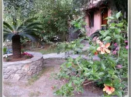 Stunning 2-Bedrooms private Cottage in Palaiochora