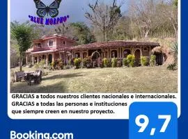 Ecolodge Blue Morpho