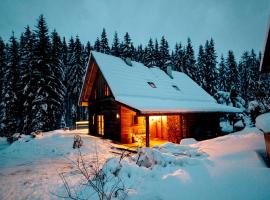 Naturpark Hütte Mandl, Biobauernhof & Hüttenurlaub, hotel near Dreiwiesenlift, Sankt Lambrecht