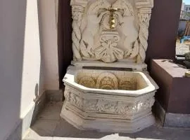 Comfort House Mimosa 1