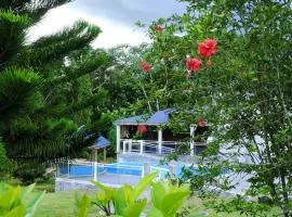 Appartement spacieux à Lamentin + piscine et jacuzzi.