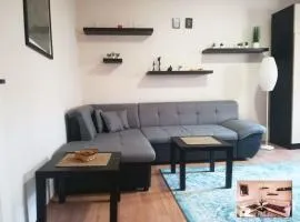 Viki Apartment CENTAR