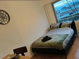 Charmant studio - Gare colmar