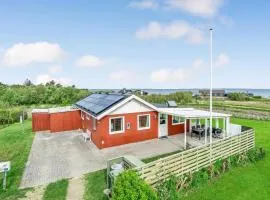 Holiday Home Vinderup 5