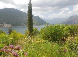 Biser lux - Kotor Bay - Sea view & Swimming Pool, hotel v destinaci Kamenarovići