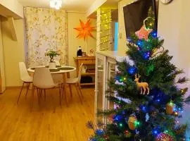 Precioso apartamento en el centro de Santander