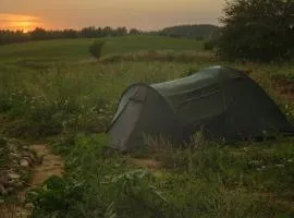 Rent a tent - Namiot w Praekologicznym gospodarstwie