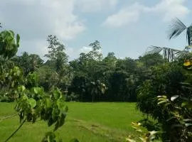 FENDI eco lodge