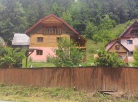 Pensiunea Trei brazi Scărișoara – domek wiejski w Albacu