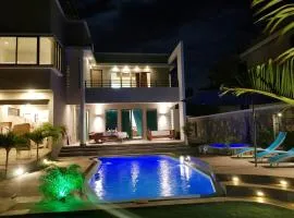 4 bedrooms villa with sea view private pool and enclosed garden at Albion 2 km away from the beach