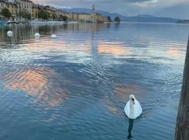 Wonderful apartment to enjoy your confort and relax in a magic surroundings of the Garda Lake