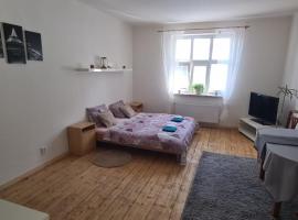 Ubytovaní U Dvora – apartament w mieście Gorzyce