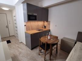 Luxusní apartmán nedaleko centra, boende i Prag