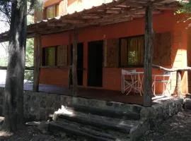 cabañas rio y playa 2