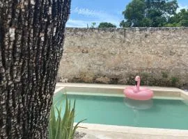 La Casa Rosal, Pool