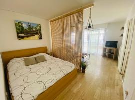 Confort - Appartement Cosy - Proche Mer ***, Hotel in Vallauris