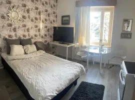 Yksiö 1,5 km Kupittaalta / 3 km Turun keskustasta