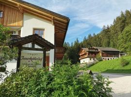 Innerkohlerhof, hotel amb aparcament a Valle Di Casies