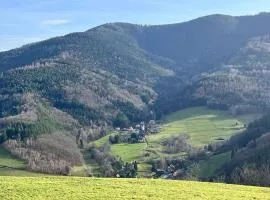 Les volets bleus