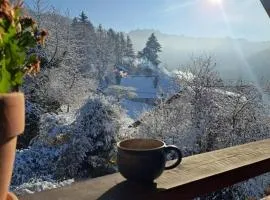 Gemütliche Waldrandlage in Badenweiler Sehringen Ferienwohnung