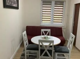 Apartman Pavle