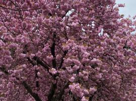 Six minutes to Rupert station, Hotel in Vancouver